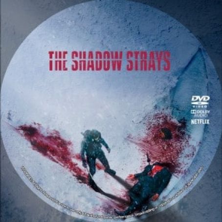 The Shadow Strays 2024