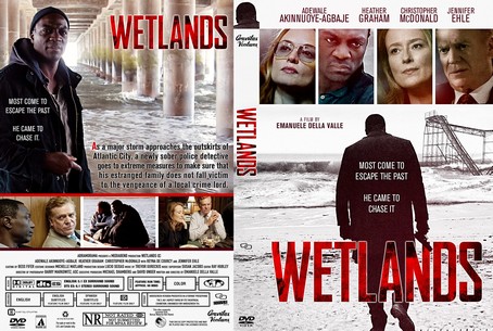 Wetlands 2019