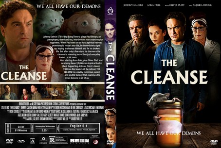 The Cleanse 2016