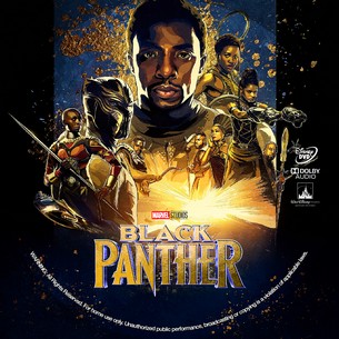 Black Panther 2018