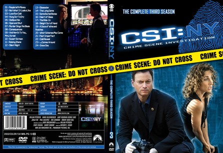 CSI NY Season 3