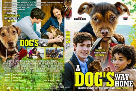 A Dog's Way Home 2019