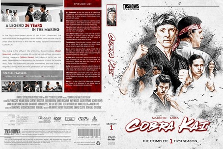 Cobra Kai Season 1