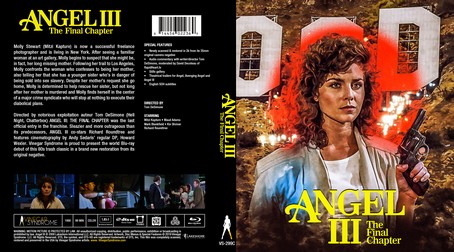 Angel III The Final Chapter 1988