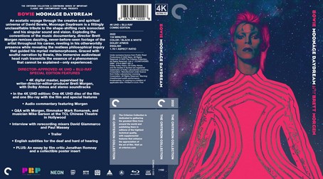 Moonage Daydream 2022