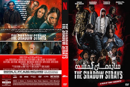 The Shadow Strays 2024