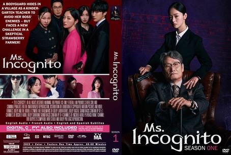 Ms. Incognito Season 1