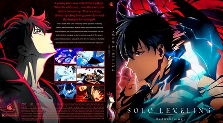 Solo Leveling ReAwakening 2024