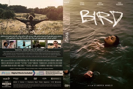 Bird 2024