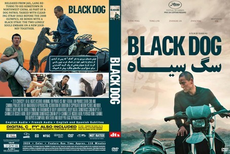 Black Dog 2024