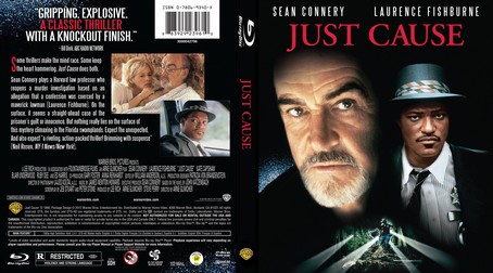 Just Cause 1995