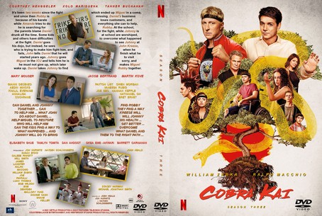 Cobra Kai Season 3