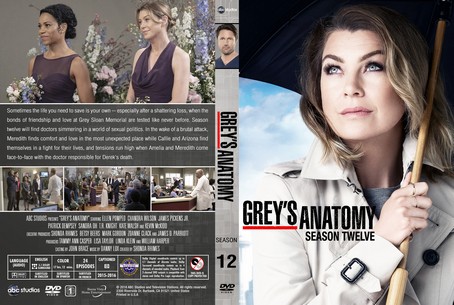 Grey's Anatomy Season 12