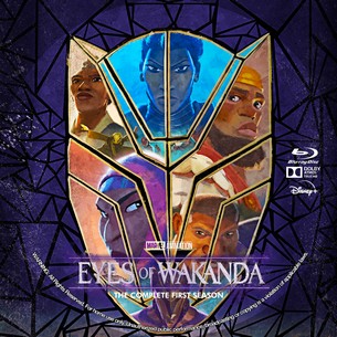 Eyes of Wakanda Season 1
