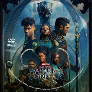 Black Panther Wakanda Forever 2022
