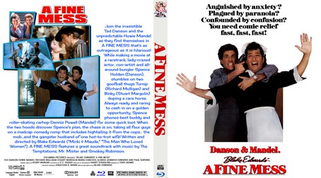 A Fine Mess 1986