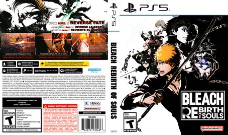 Bleach Rebirth of Souls