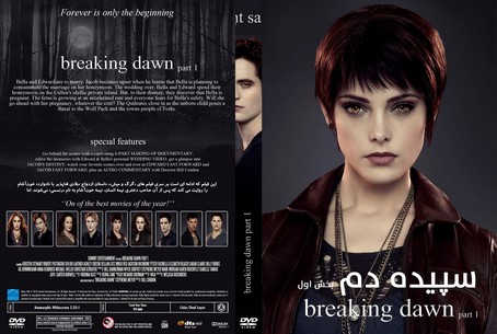 The Twilight Saga Breaking Dawn Part 1