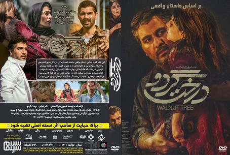 درخت گردو