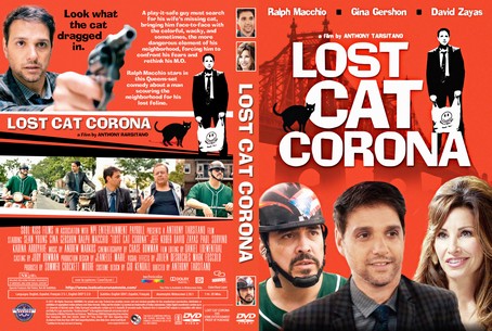 Lost Cat Corona 2017