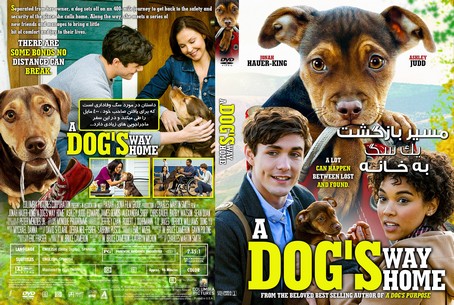 A Dog's Way Home 2019