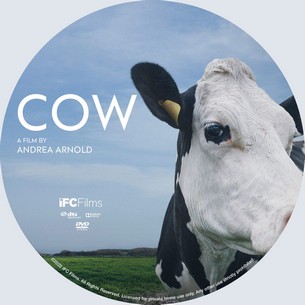 The Cow 2022
