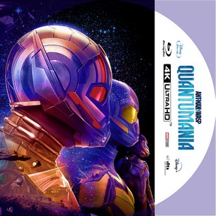 Ant Man and the Wasp Quantumania 2023