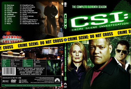 CSI Las Vegas Season 11
