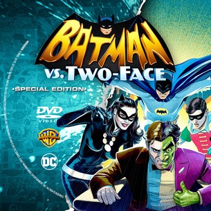 Batman Vs. Two Face 2017