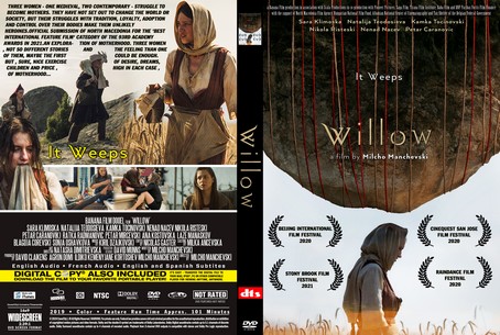 Willow 2019