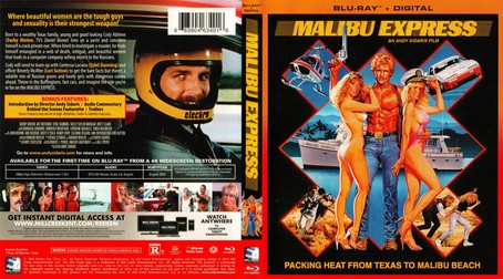 Malibu Express 1985