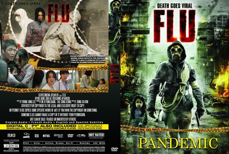 Flu 2013
