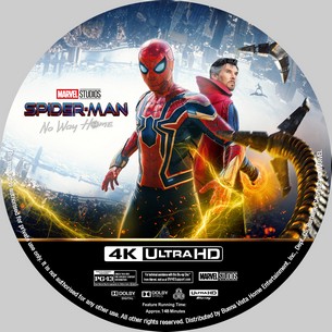 Spider Man No Way Home 2022
