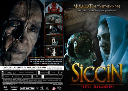 Siccin 2014