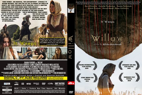 Willow 2019