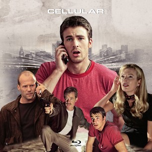 Cellular 2004