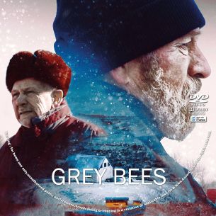 Grey Bees 2025