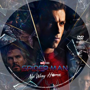 Spider Man No Way Home 2021