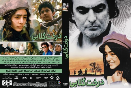 درخت گلابی 1376