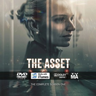 The Asset Season 1