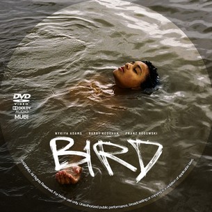 Bird 2024