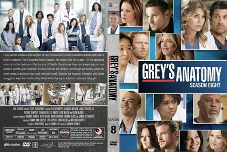 Grey's Anatomy Season 8