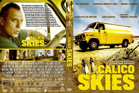Calico Skies 2017