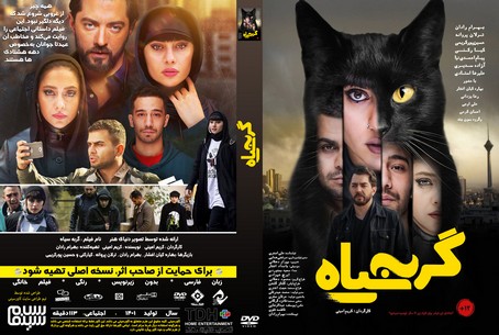گربه سیاه