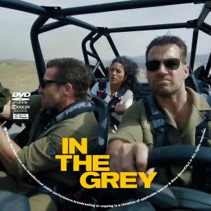In the Grey 2026
