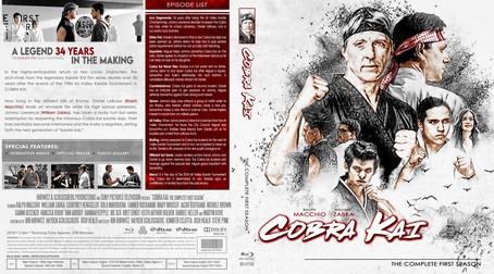 Cobra Kai Season 1