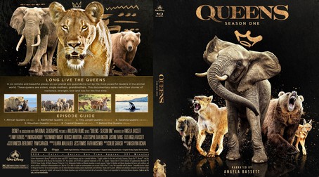 Queens Season 1