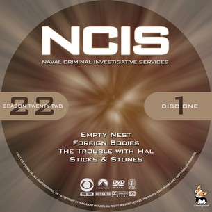 NCIS Season 22