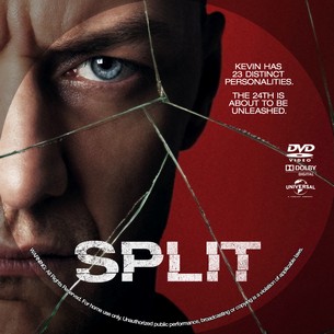 Split 2016