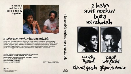 A Hero Ain't Nothin' But a Sandwich 1977